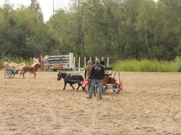 img_9506_web